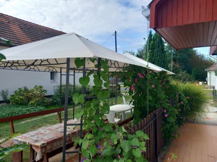 Tamás Villa4