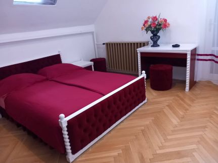 Tamás Villa8
