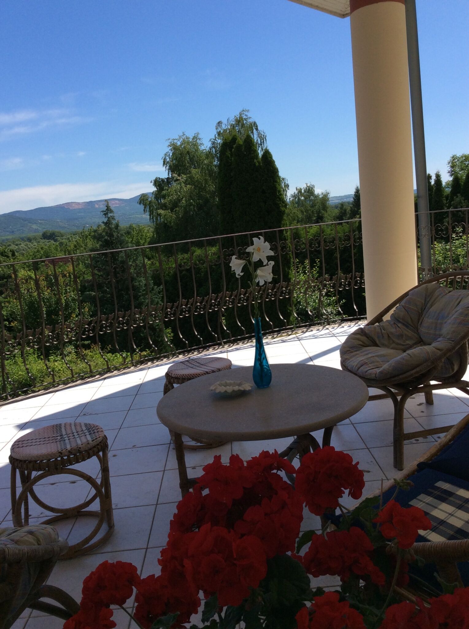 Villa Kálmán Pansio – Dunabogdány fotó 20