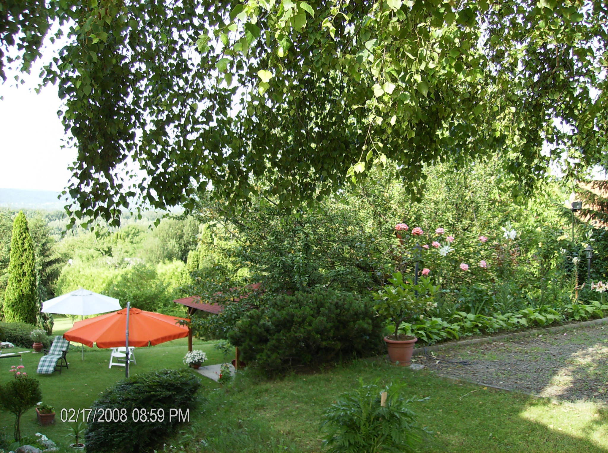 Villa Kálmán Pansio – Dunabogdány fotó 9