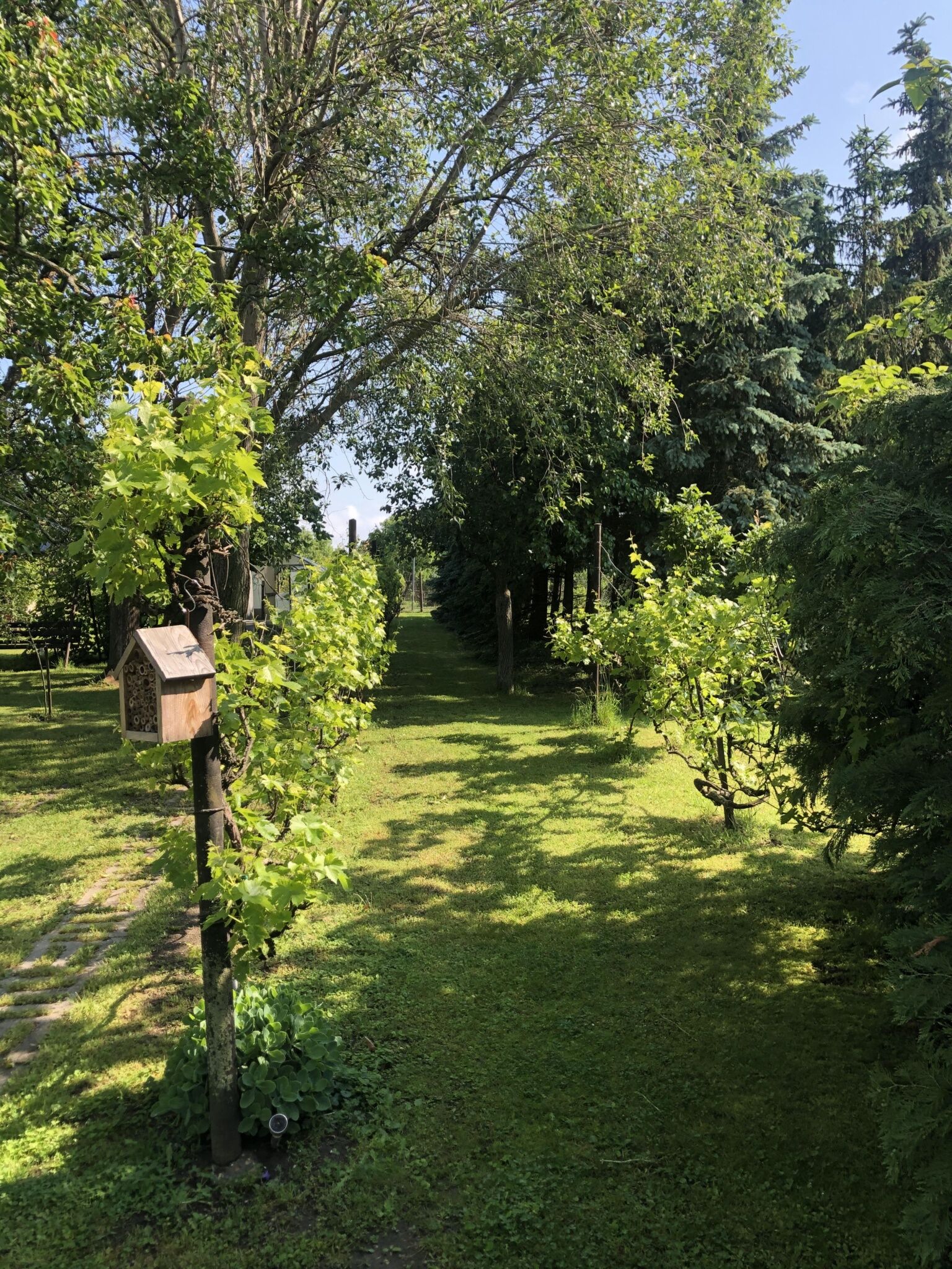 Éva Vendégház – Diósjenő fotó 12