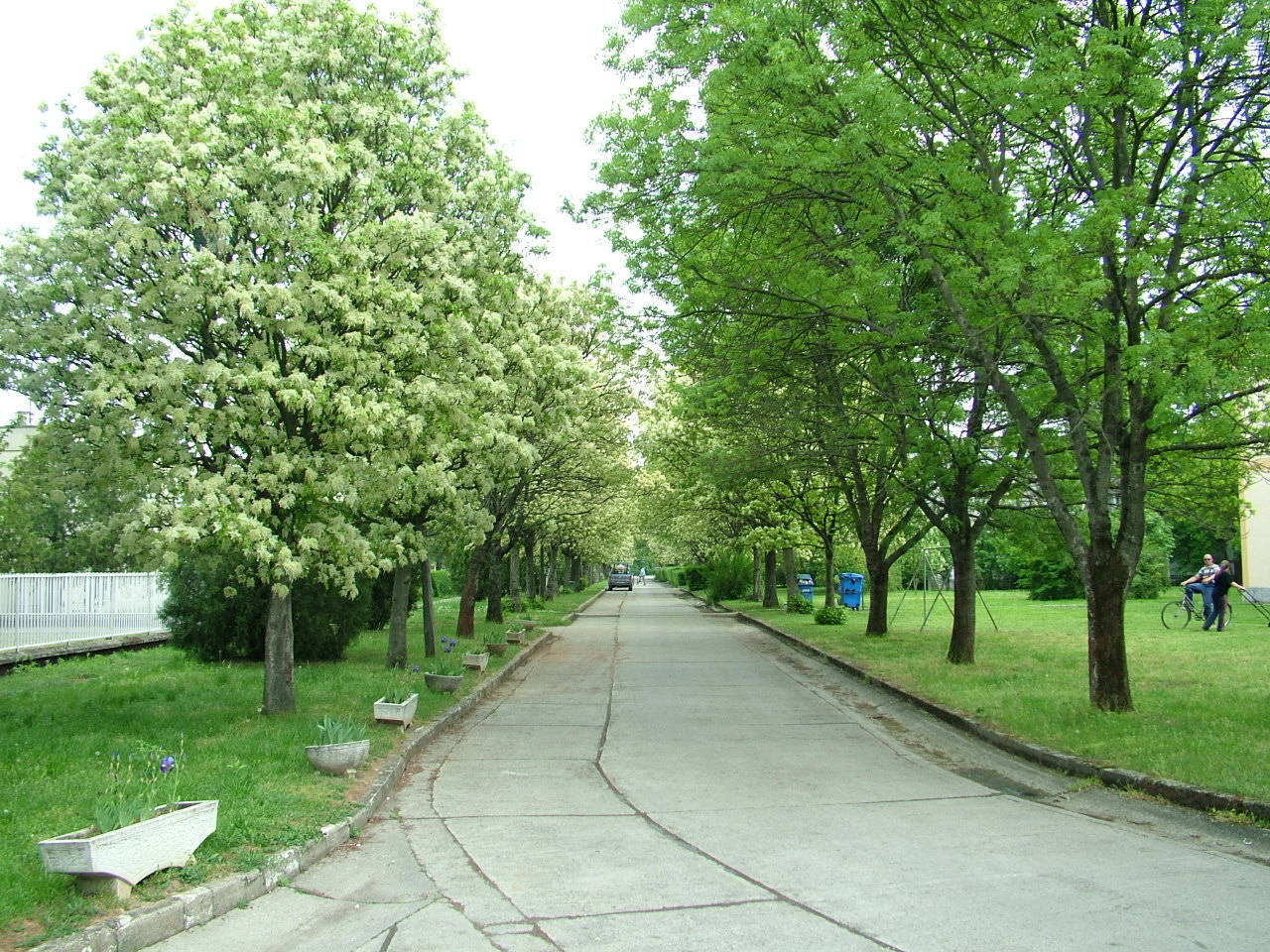 Hotel Ezüst Horgony – Kisköre fotó 17