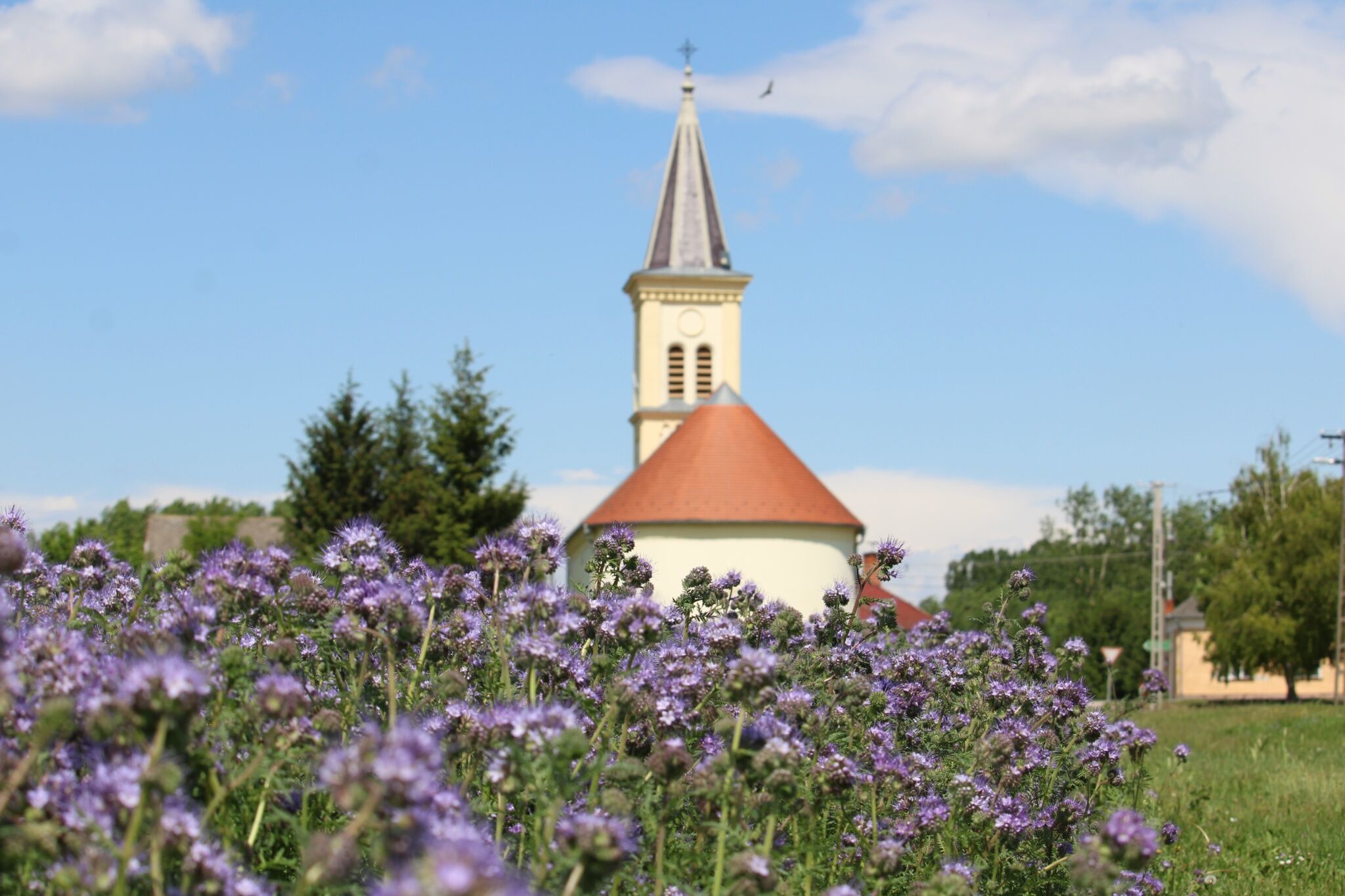 Réti Vendégház és Pálinkaház – Tárnokréti fotó 12