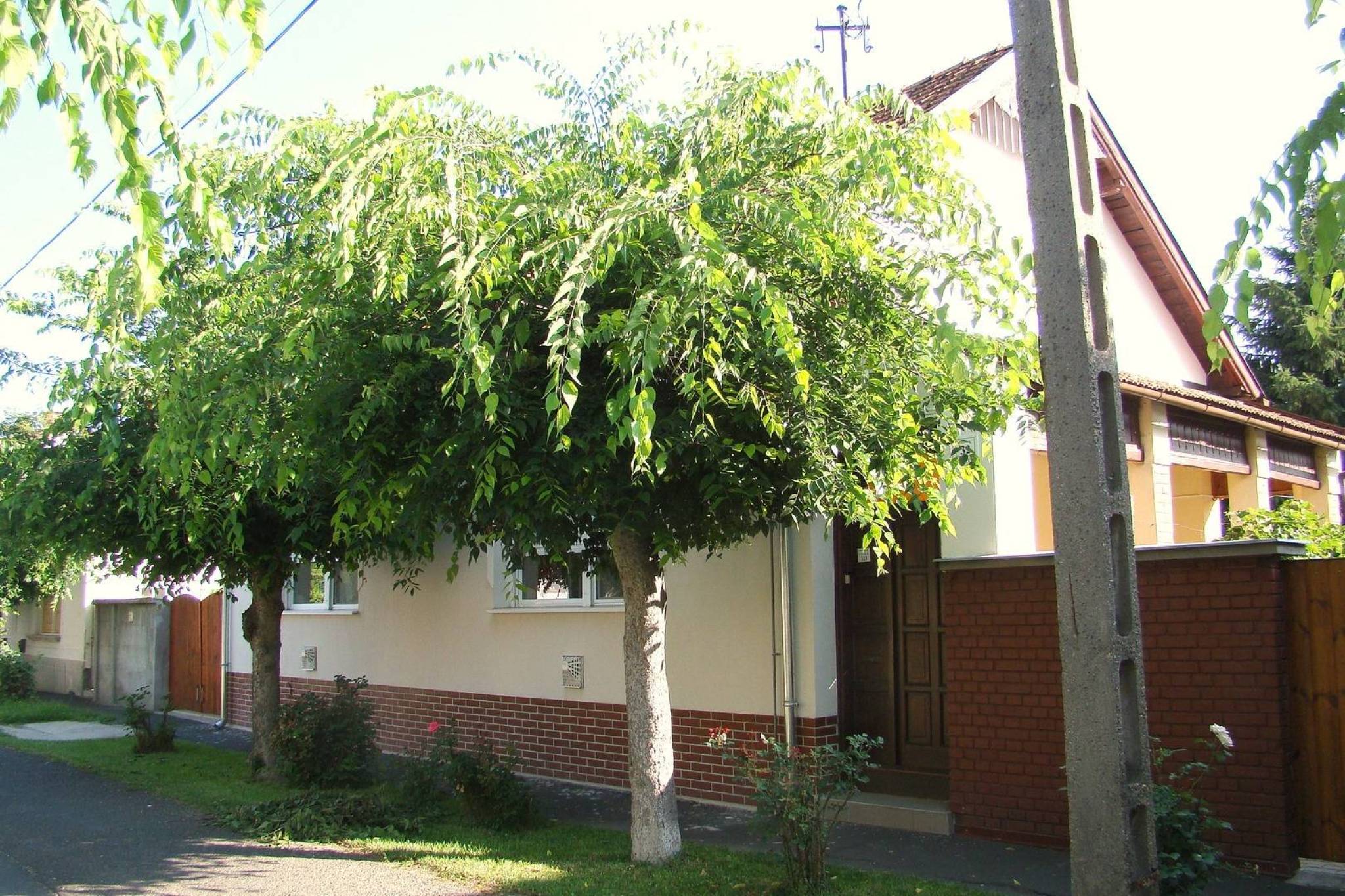 Hajnal Apartman – Gyula fotó 3
