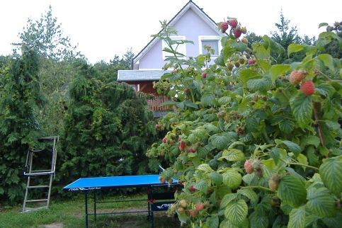 Börzsönyalja Vendégház16