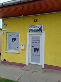 Fekete Macska Panzio