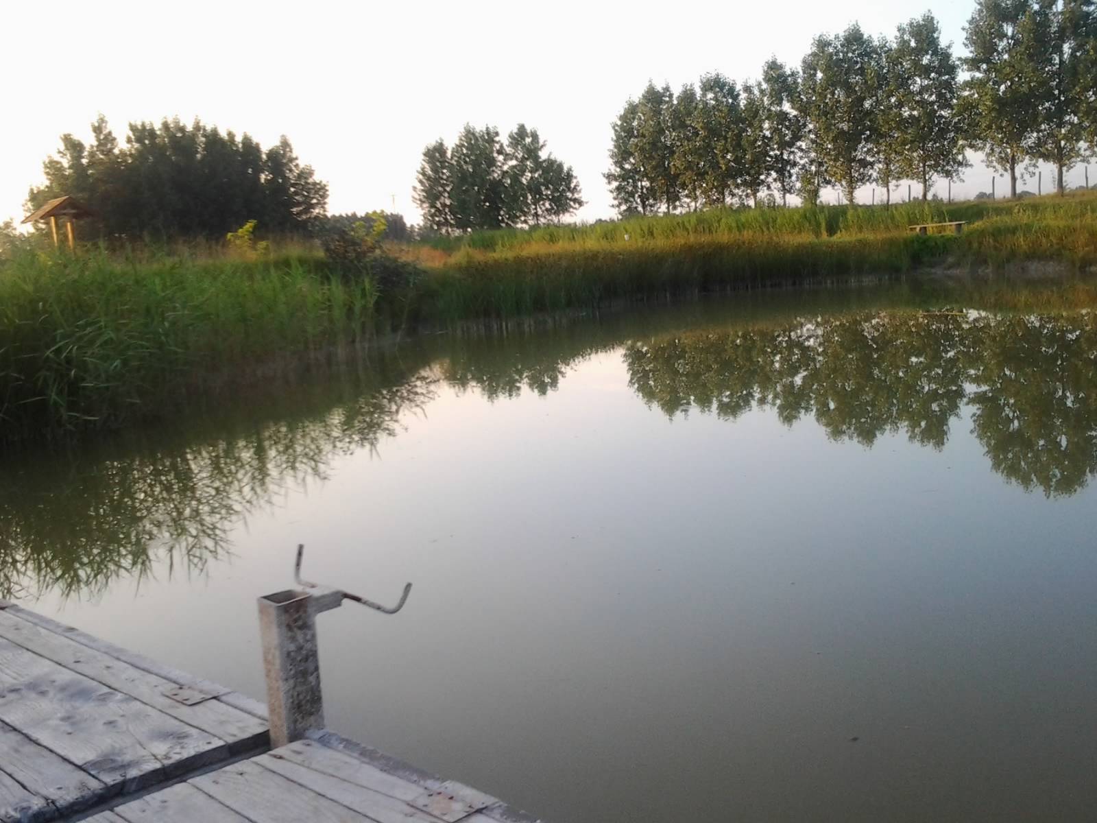 Udvardi-Tanya és Pihenőpark – Kiskunmajsa fotó 3