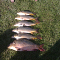 Molnár Apartmanház