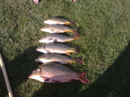 Molnár Apartmanház