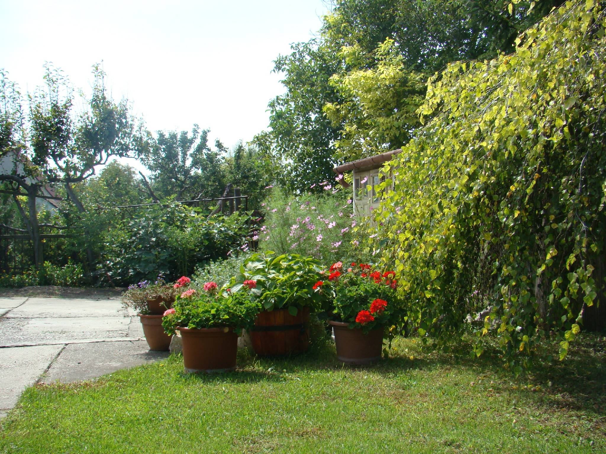 Farkas Családi Apartman – Gárdony fotó 1