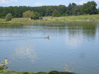 Balló Vendégház – Döbrönte