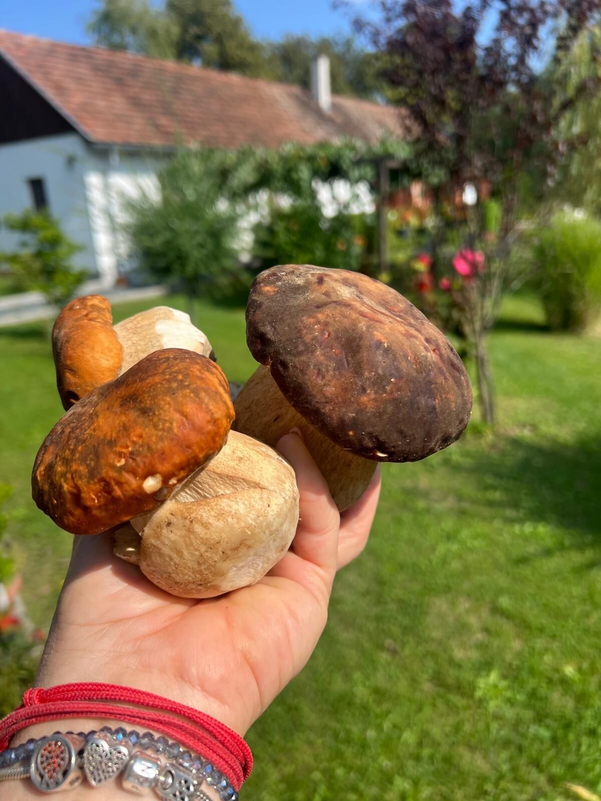 Cseri Porta – Szalafő fotó 9