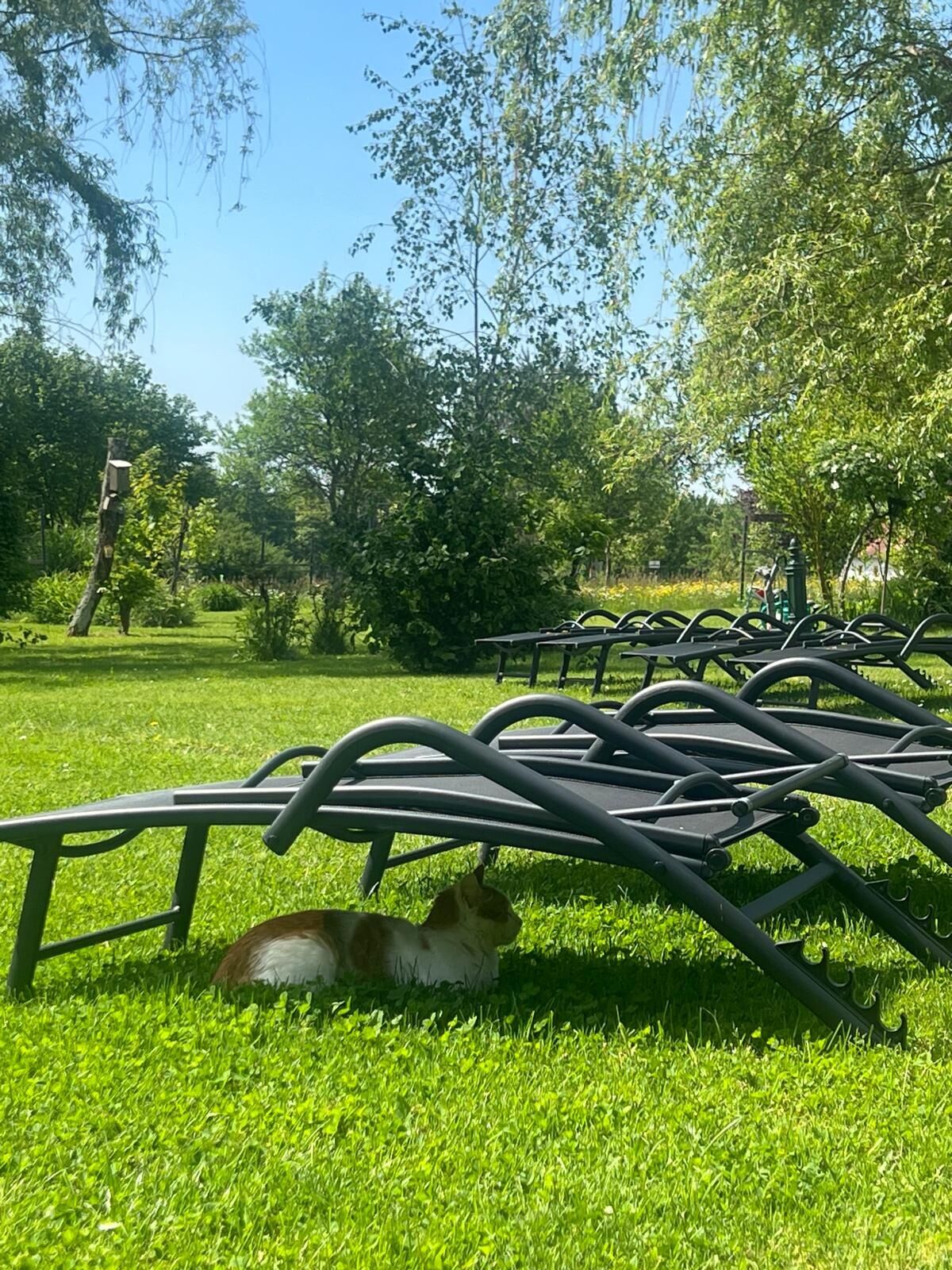 Cseri Porta – Szalafő fotó 18