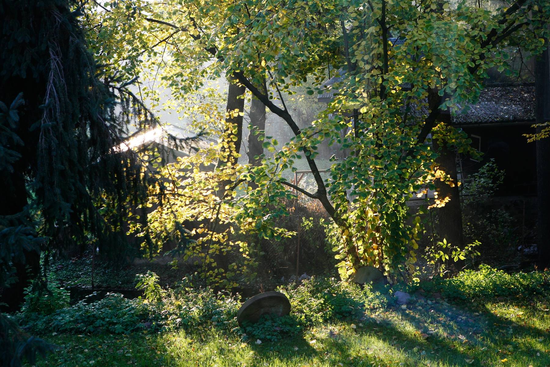 Harangvirág 36 Apartman – Kismaros fotó 16