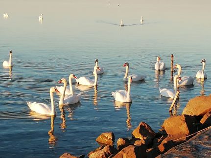 Péhl Nyaralóház57