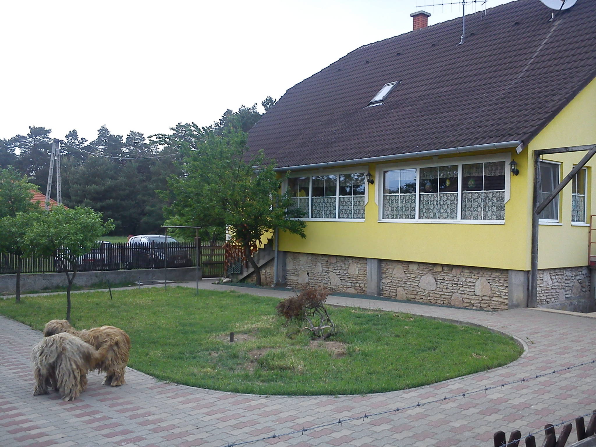 Homoktövis Vendégház – Fenyőfő fotó 2