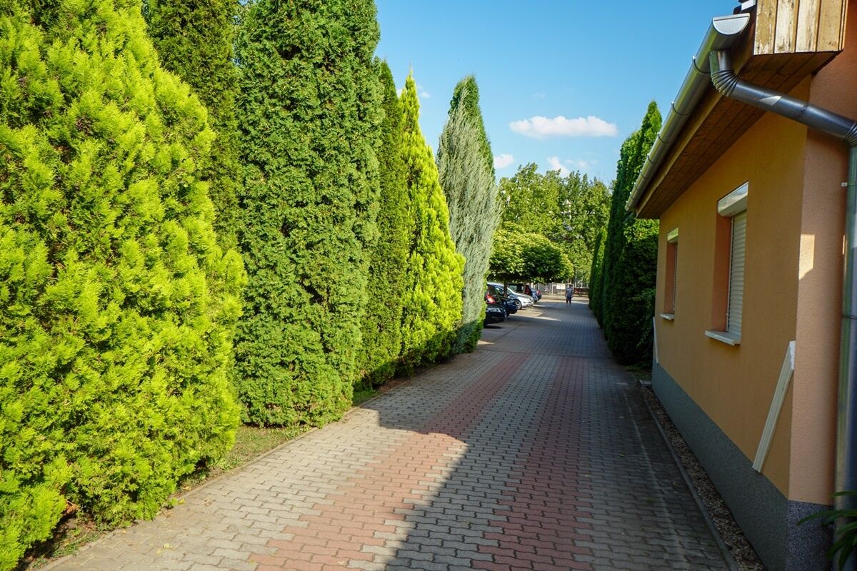 Izabella Panzió – Hajdúszoboszló fotó 12