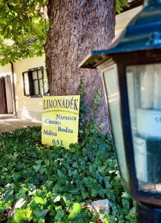 Párizsi Udvar Panzió és Étterem11