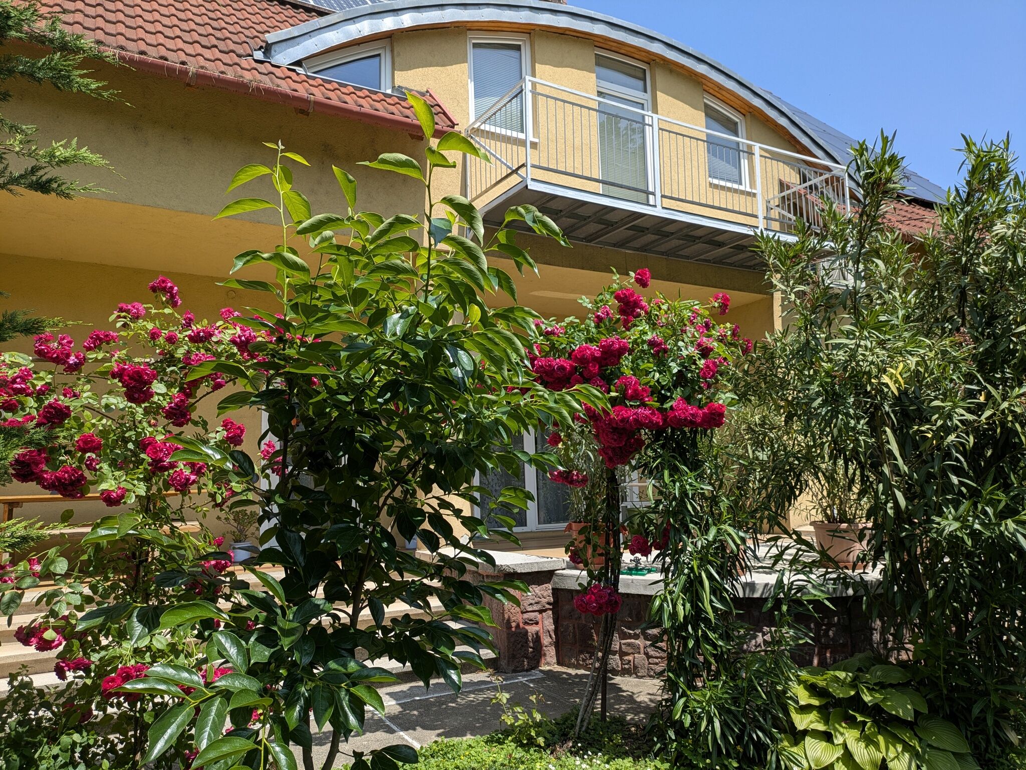Apartmanház Lívia – Balatonfüred fotó 5