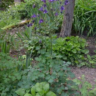 Vár-lak Vendégház a Bódva-völgyében82