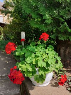 Vár-lak Vendégház a Bódva-völgyében65