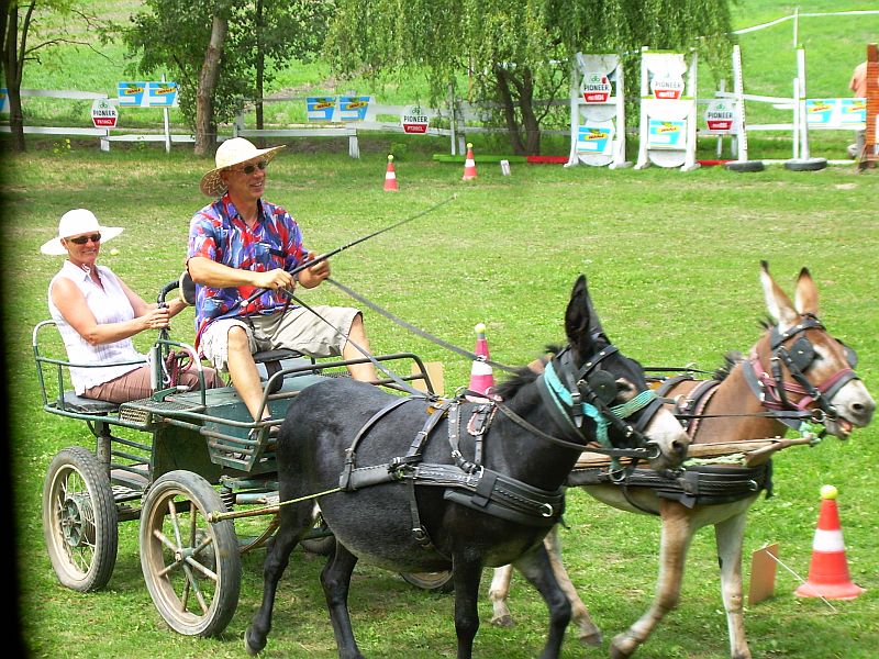 Rózsika Néni Vendégház – Siófok fotó 1
