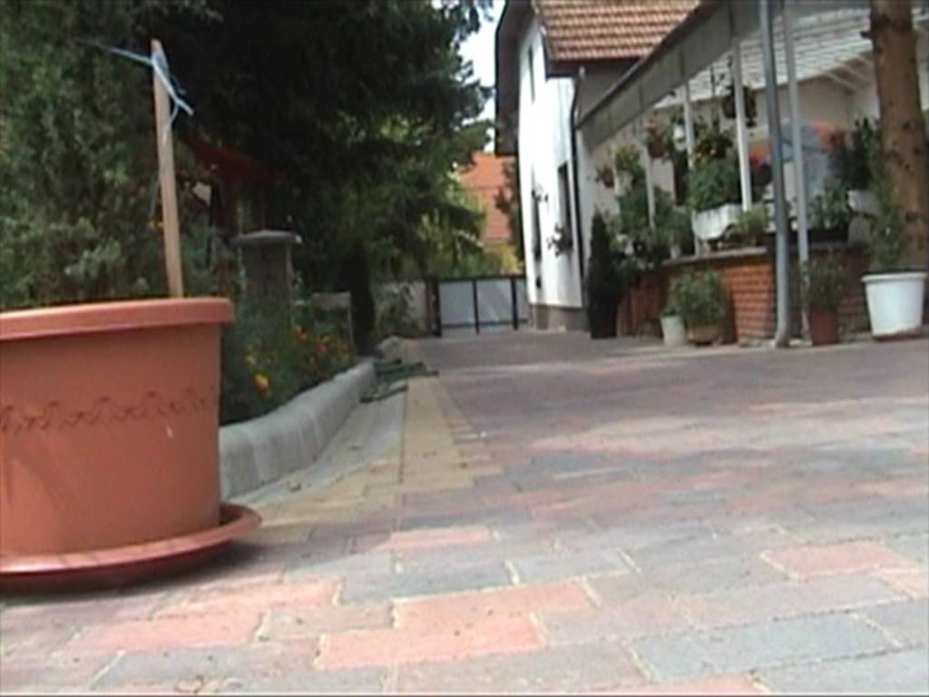 Rózsika Néni Vendégház – Siófok fotó 3