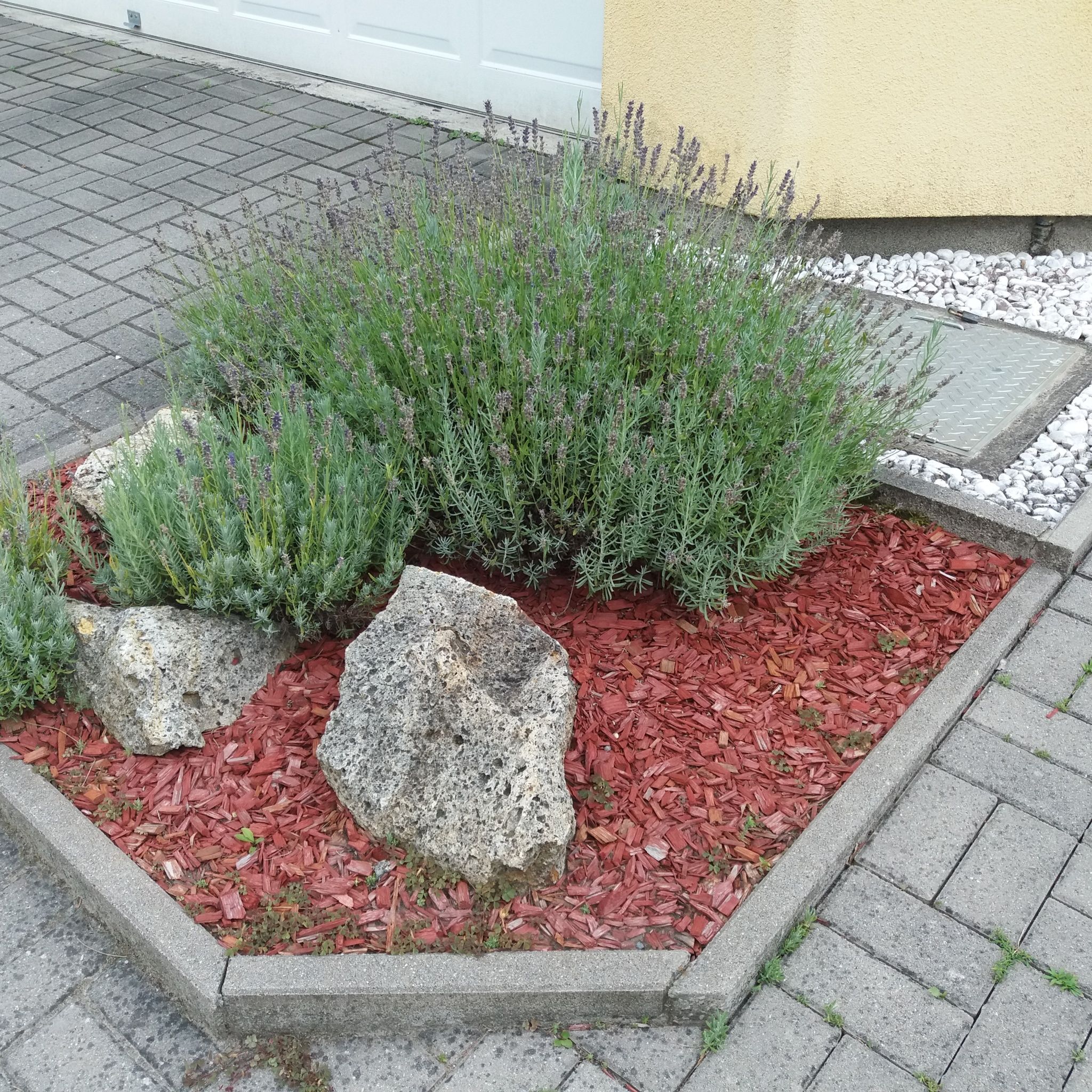 Hajas Familia Kiadó Szobák – Balatonmáriafürdő fotó 3