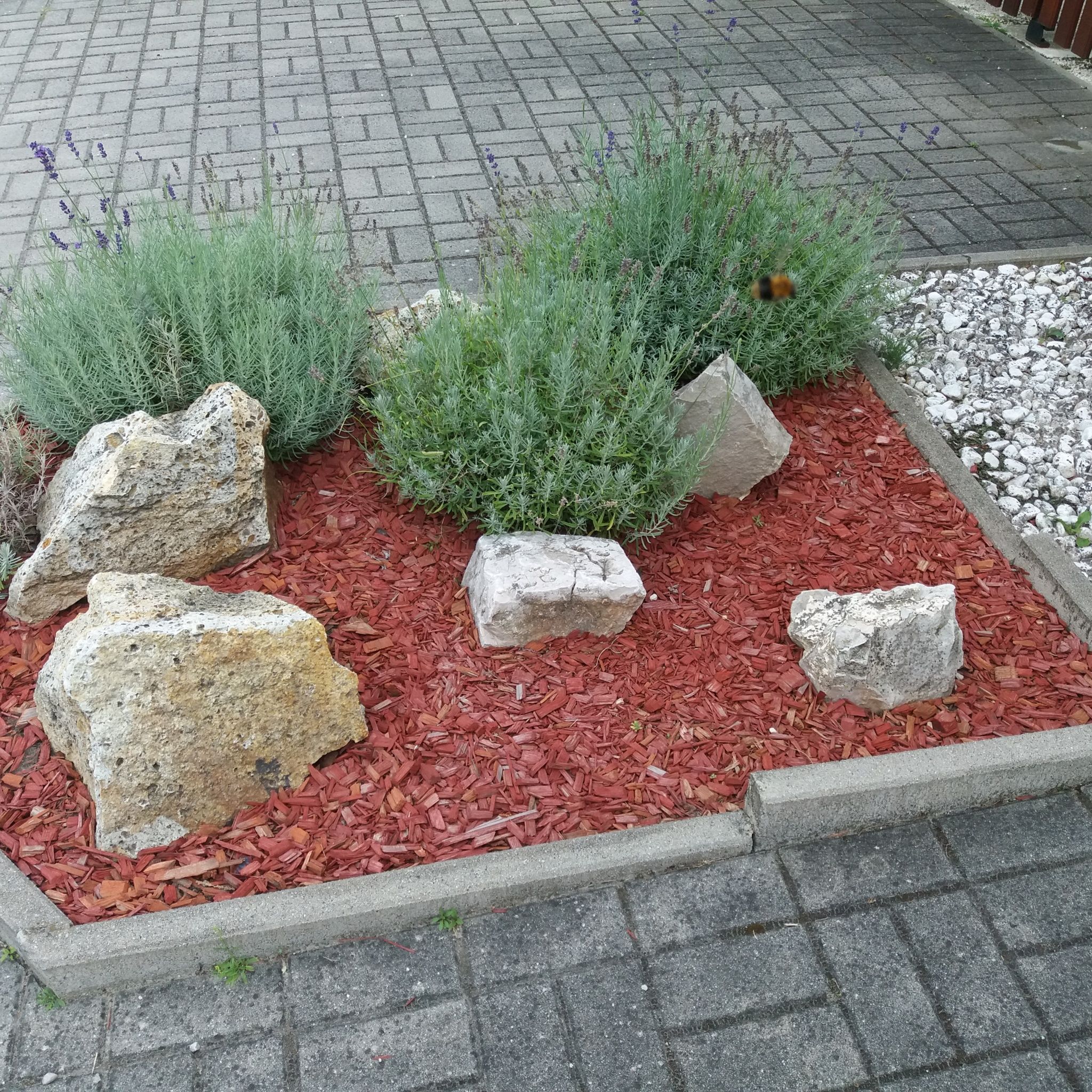 Hajas Familia Kiadó Szobák – Balatonmáriafürdő fotó 4
