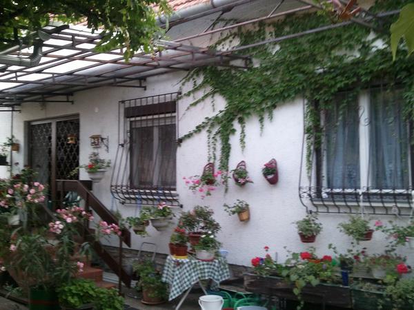 Kakas Csárda És Panzió – Tihany fotó 6