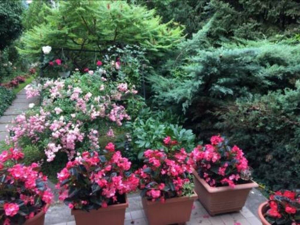 Brigitta Apartman – Balatonfüred fotó 8