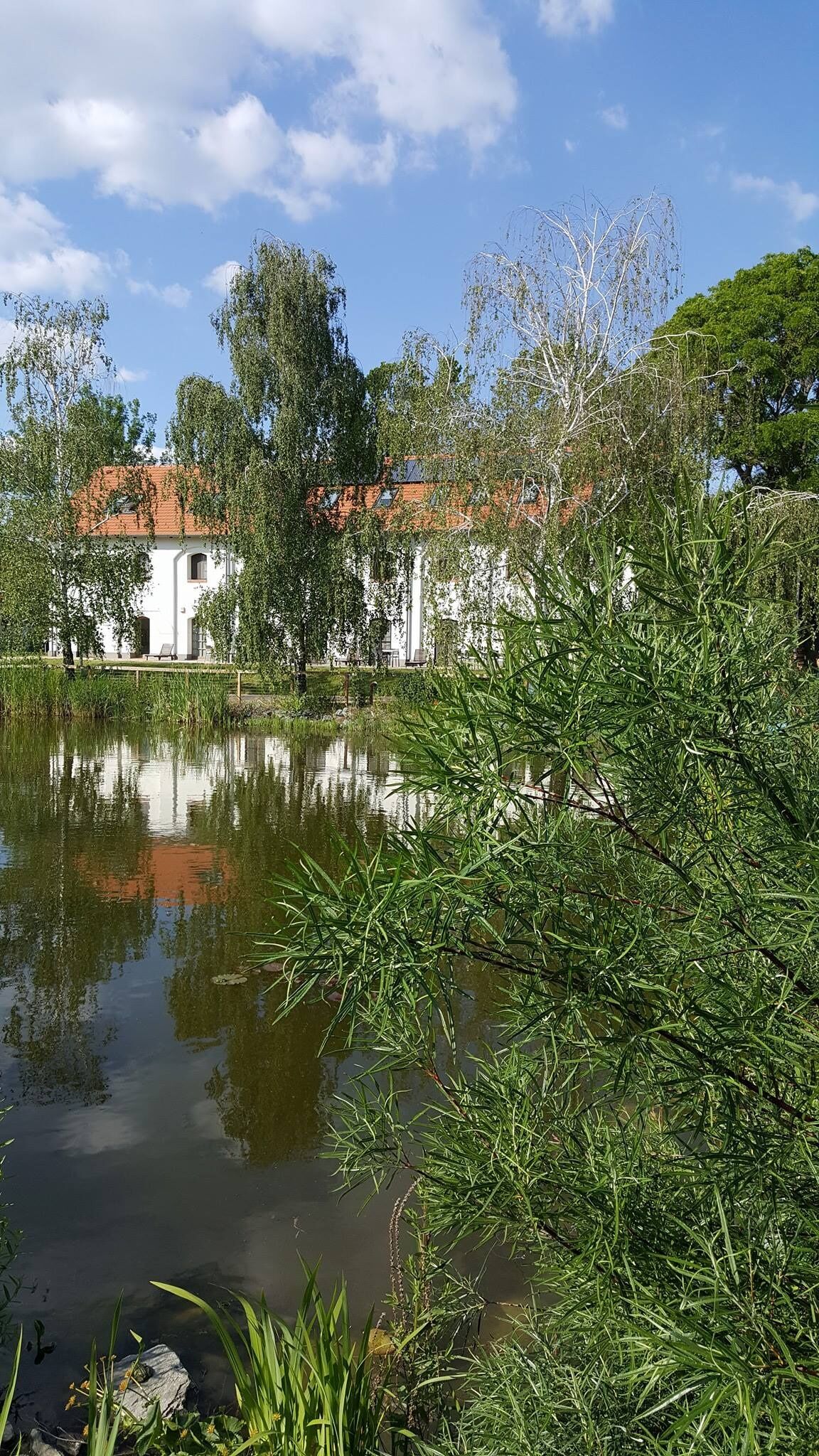 Vadkert Major Sárvár – Sárvár fotó 13