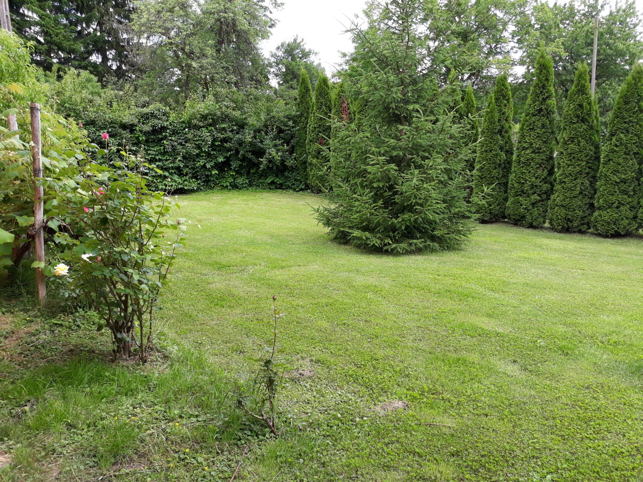 Mura Völgye Vendégház – Murarátka fotó 8