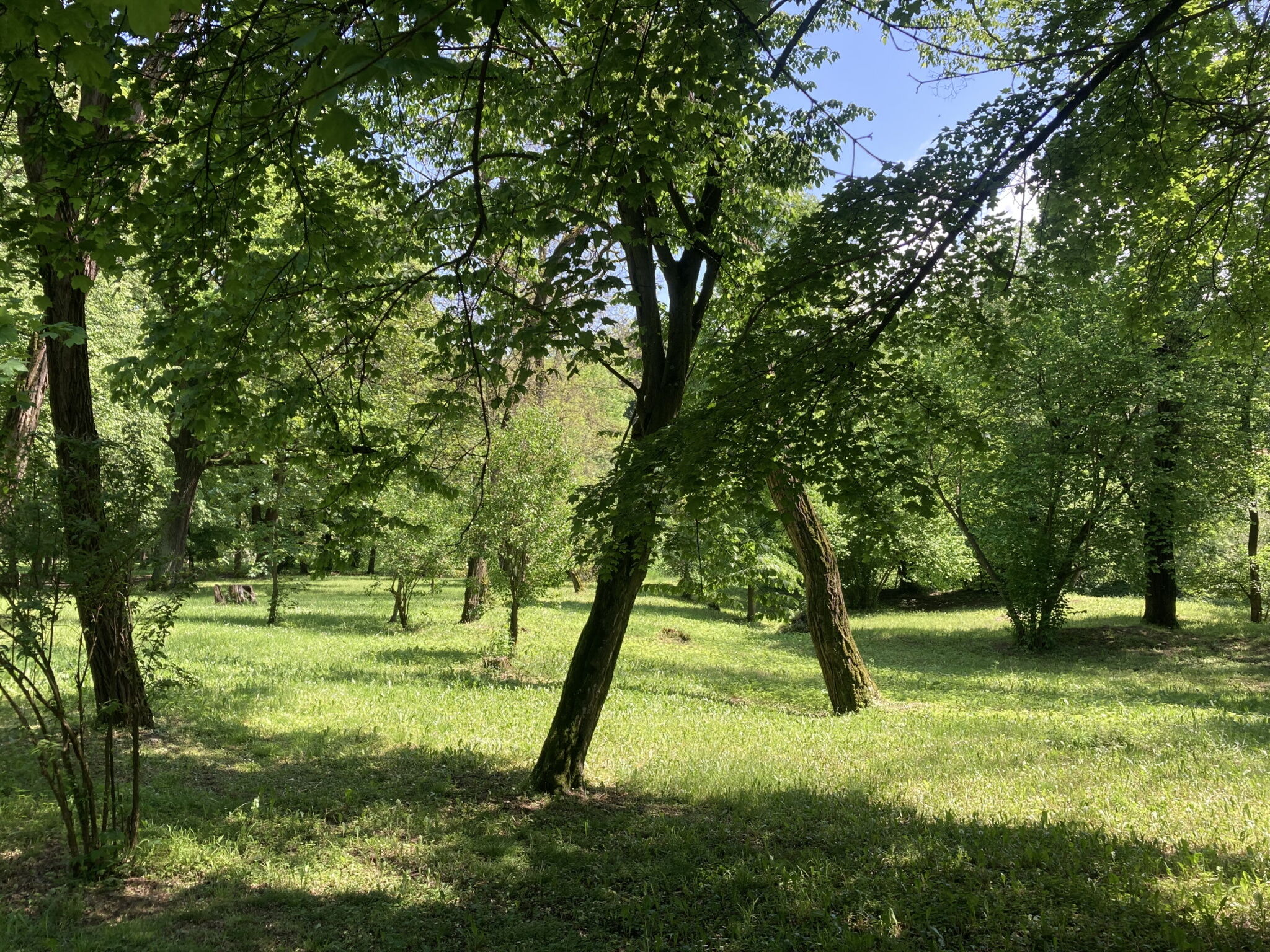 No1 Caffee Vendégház – Parád fotó 1