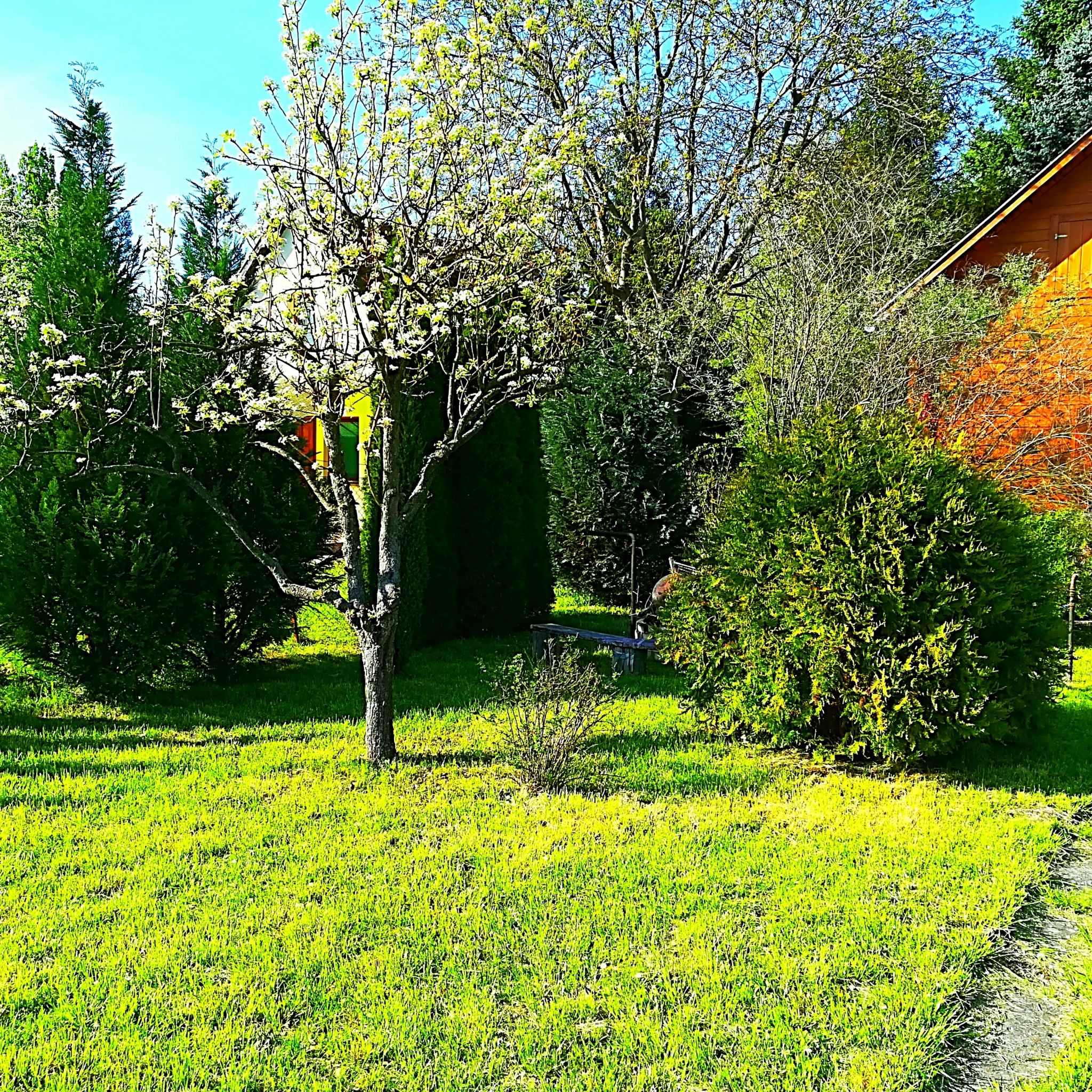 Gerenda Nyaraló – Szarvas fotó 17