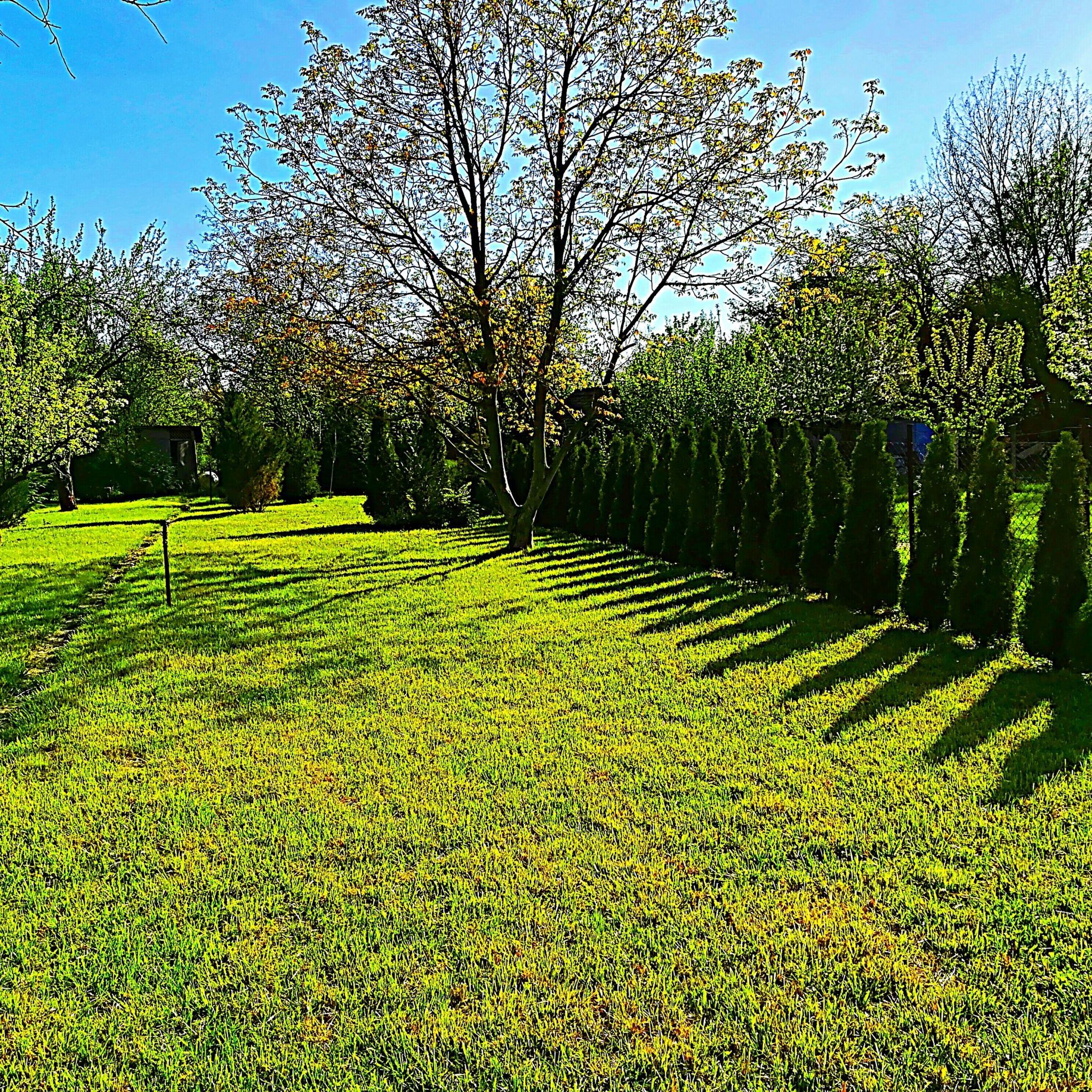 Gerenda Nyaraló – Szarvas fotó 4