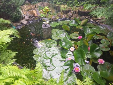 Victoria Vendégház28