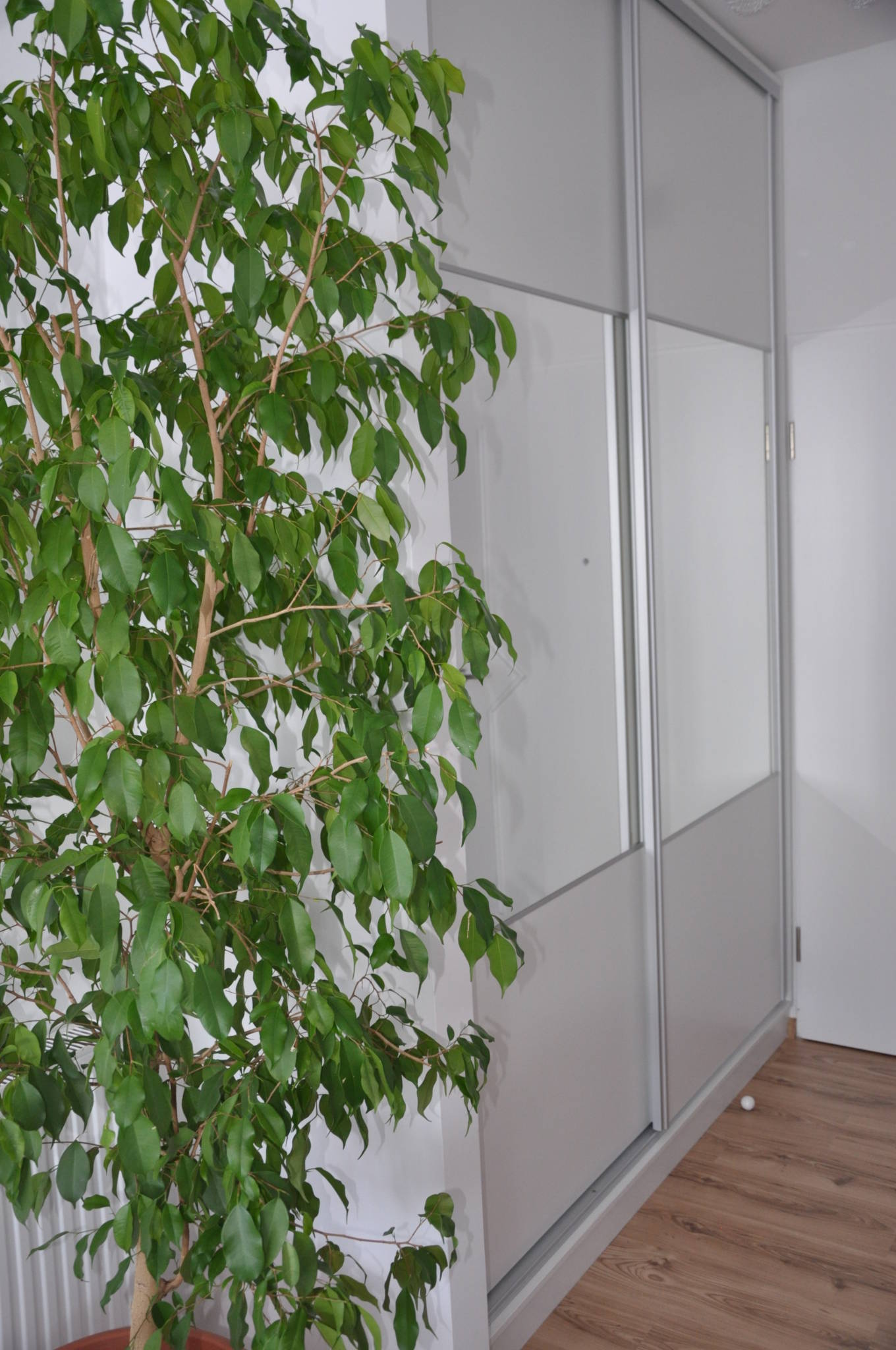 Glamour Apartman – Sárvár fotó 9