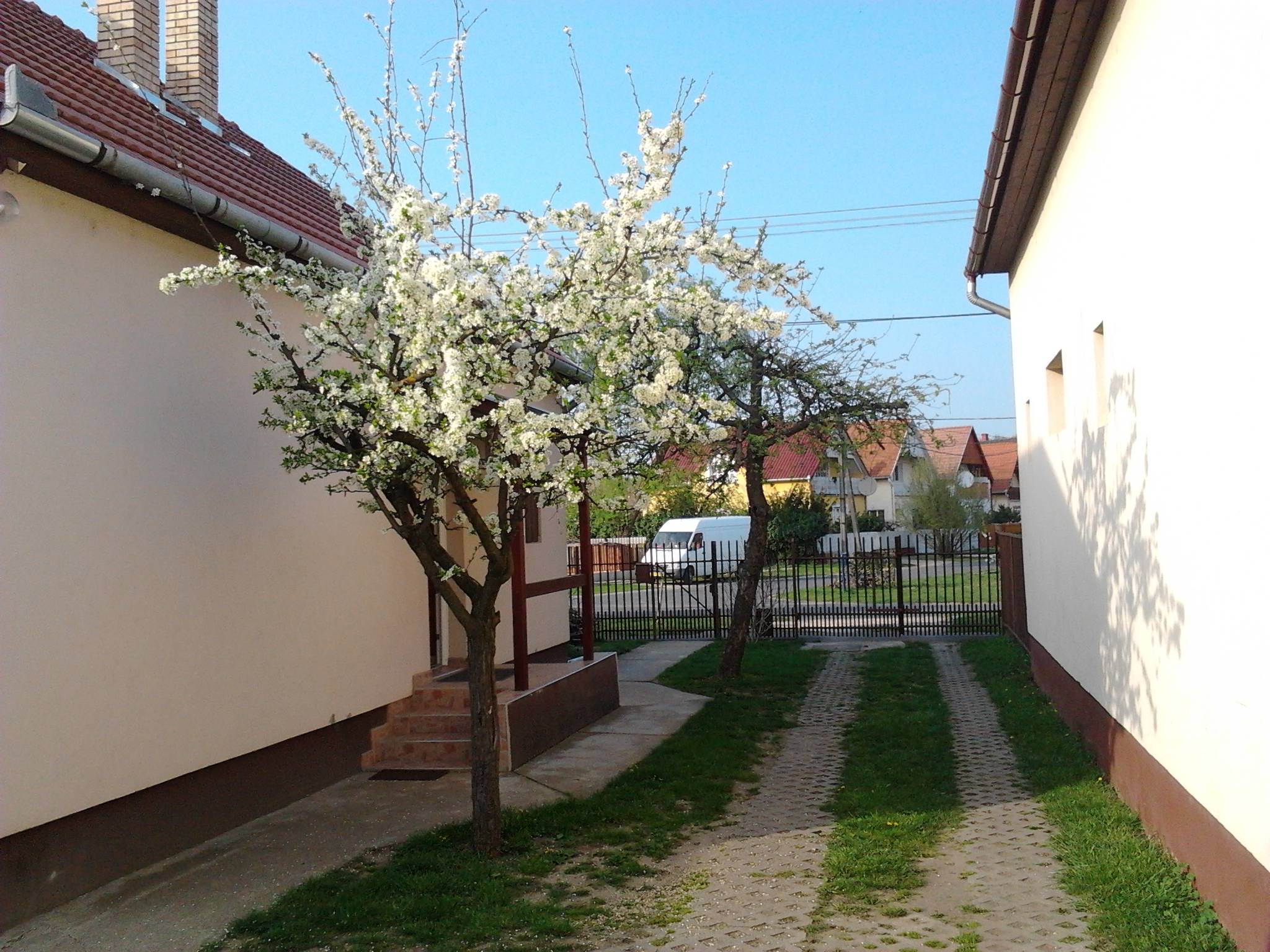 Babarózsa Vendégház – Hajdúszoboszló fotó 16