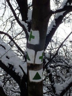 Kati Vendégház15