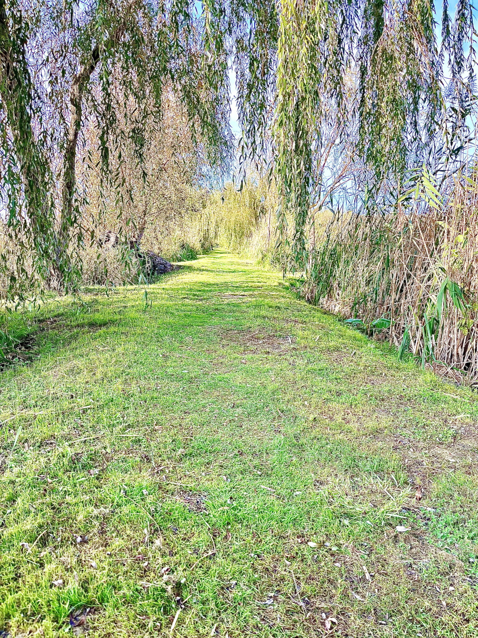 Hohl Nyaraló – Balatonmáriafürdő fotó 18