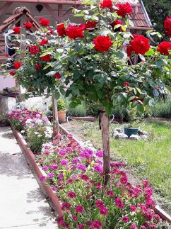 Kertvégi Pihenőház21