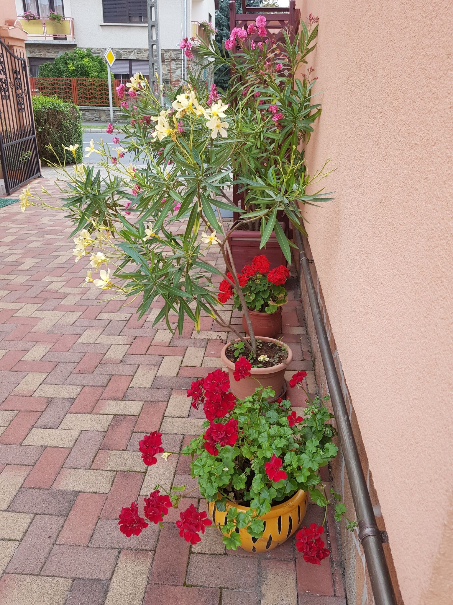 Bella Apartman – Sárvár fotó 5