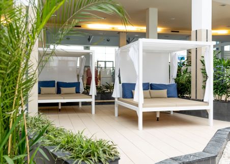 VitalMed Hotel31