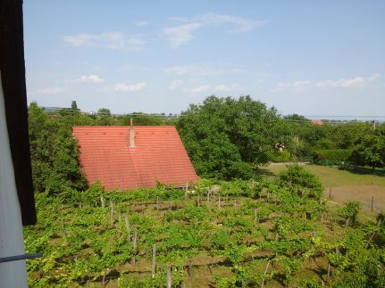 Nyári-lak Plusz Vendégház3