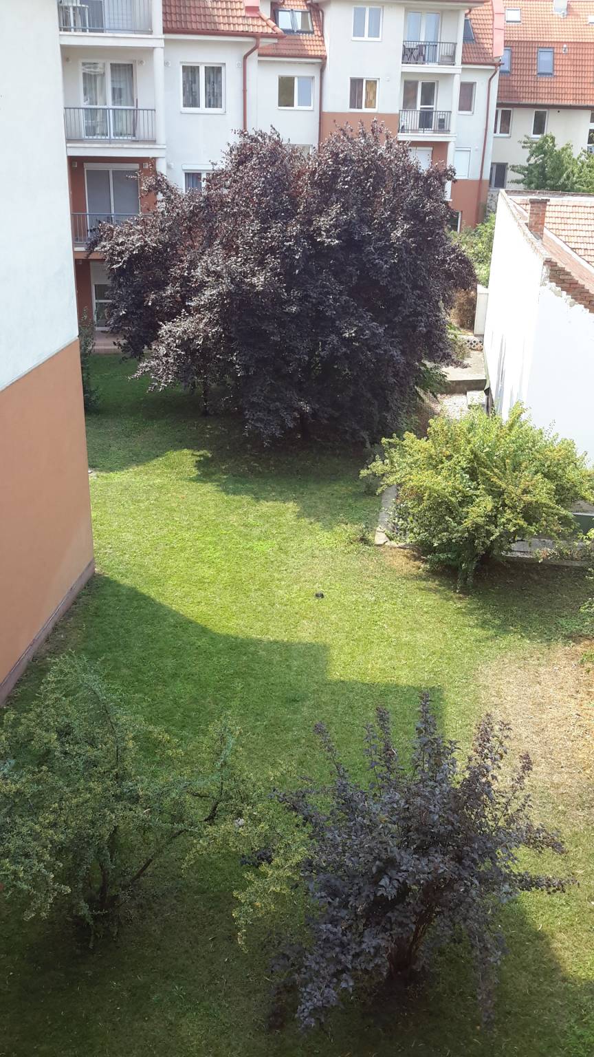 Áron Apartman – Hajdúszoboszló fotó 16