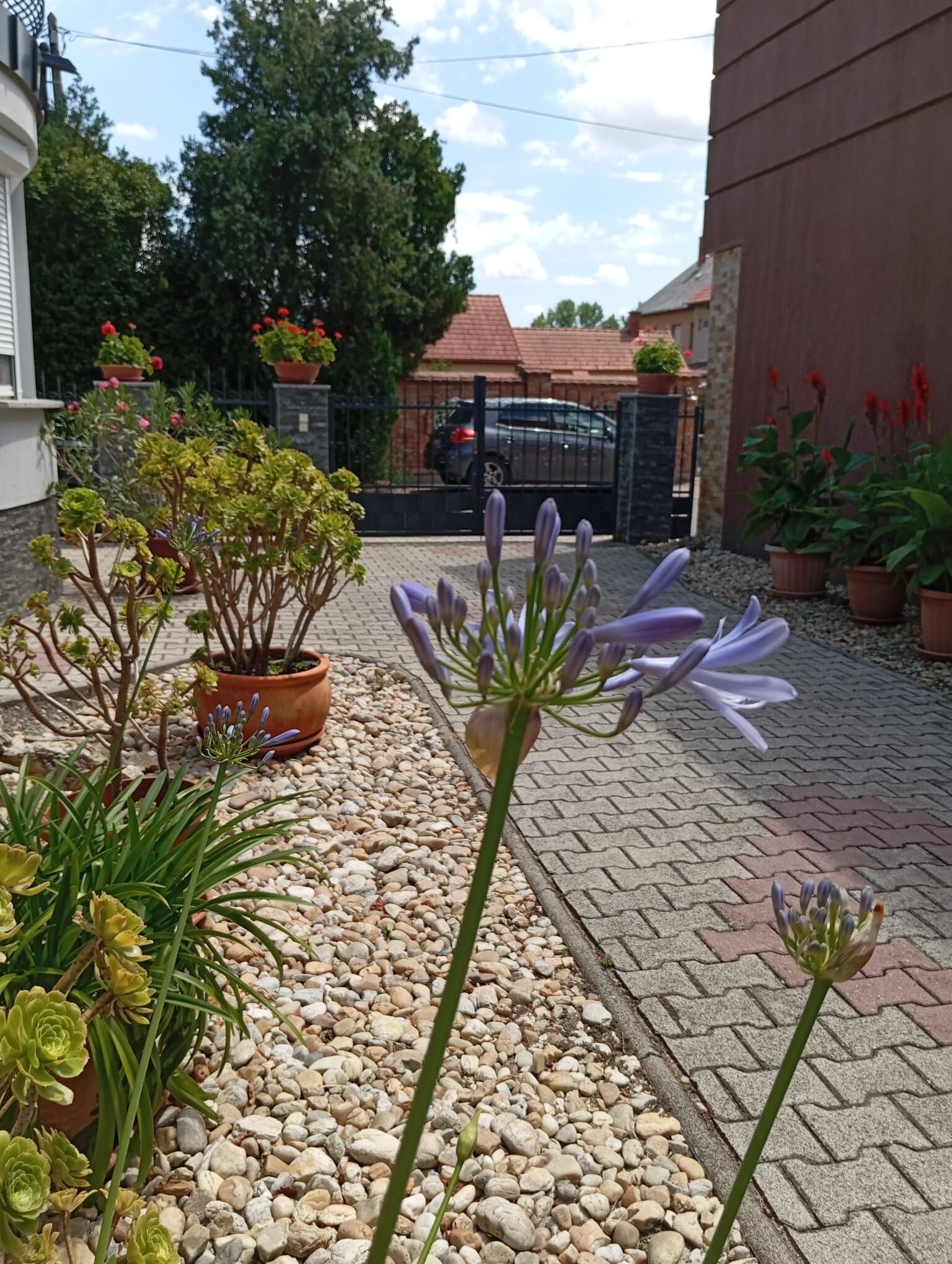 Molnár Apartman – Sárvár fotó 11