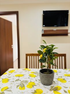 Oregano Apartman28