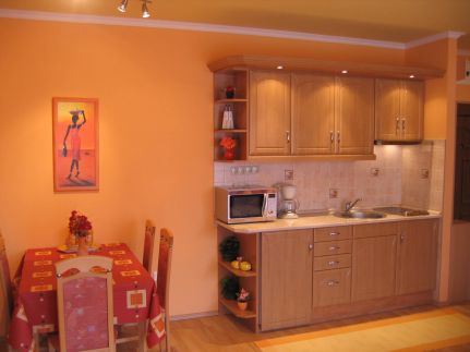 Balaton Wellness Apartman28