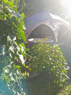 Nóra Vendégház84